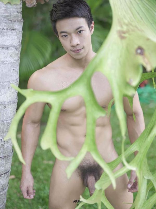 Addict--The-Premium-Issue